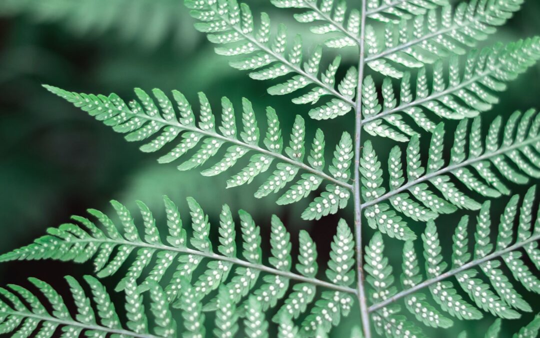 Enterprise Architecture: Transforming Fragmentation into Strategic Capability